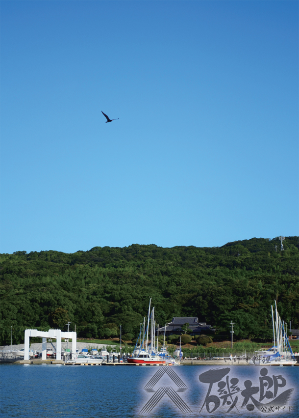 漁港を舞う鳥さん - いけす料理 磯太郎 公式サイト